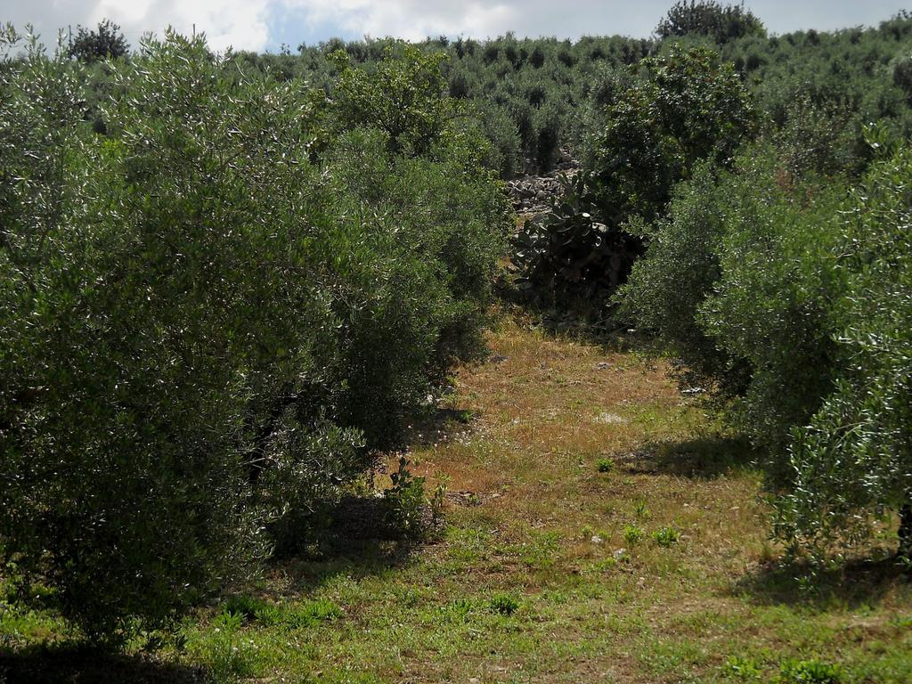 Agriturismo Casale Re Villa Sonnino Room photo